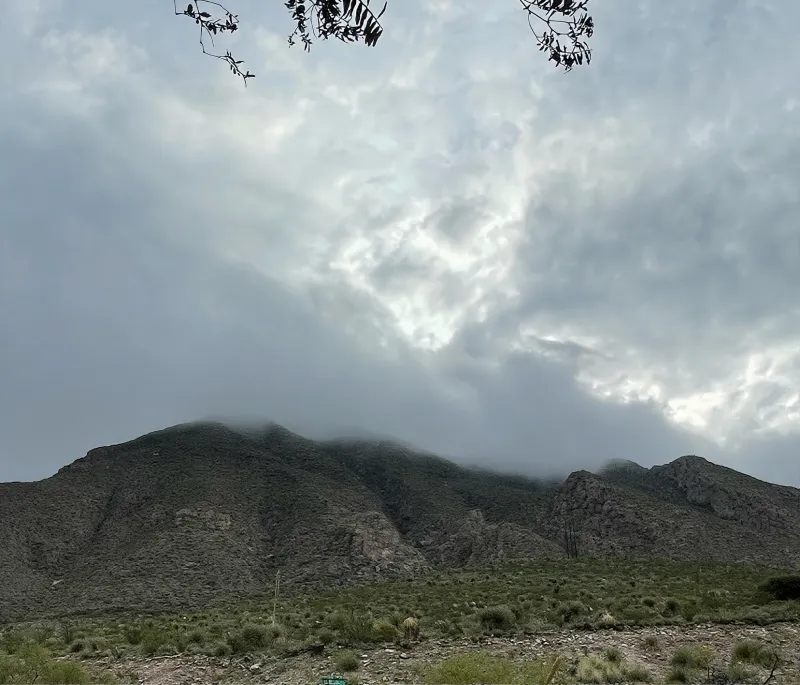 Original landscape photo before animation