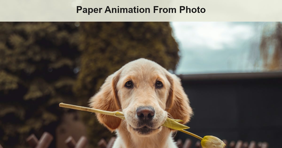 Paper Animation From Photo: Free Online Guide (2026)